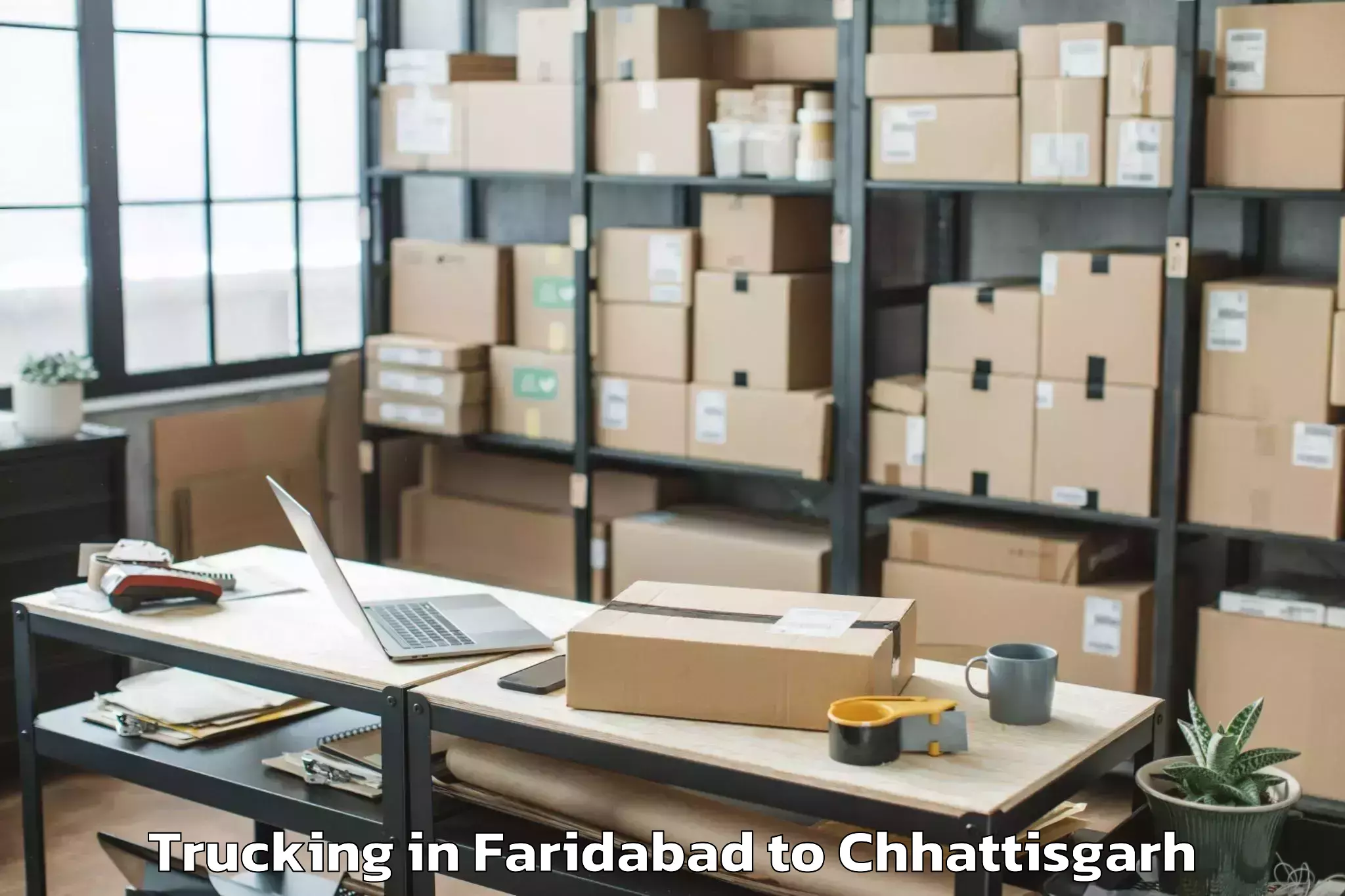 Book Faridabad to Kharora Trucking Online